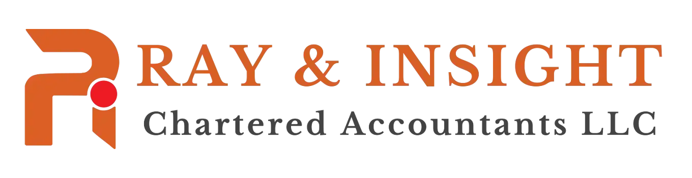 Rays and Insight Chartered Accountants LLC logo