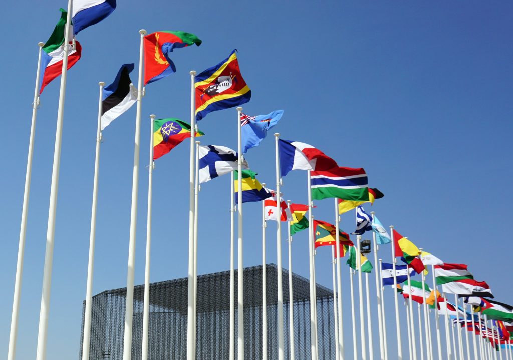 Expo flags